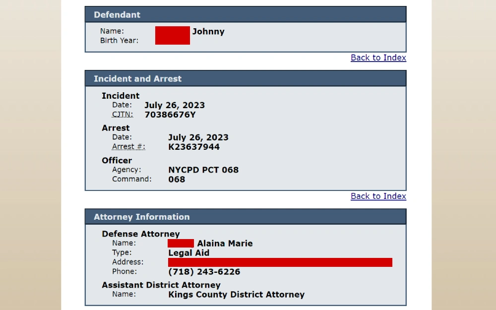 A screenshot displaying a case search information showing the defendant's name and birth year, incident and arrest dates, officer agency in charge, command numbers and others.